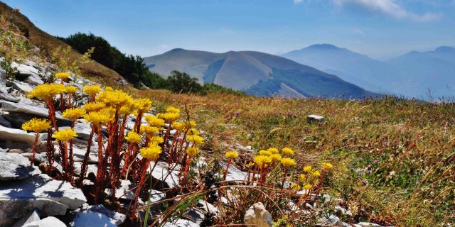 I PAESAGGI MONTANI DEL MONTEFELTRO